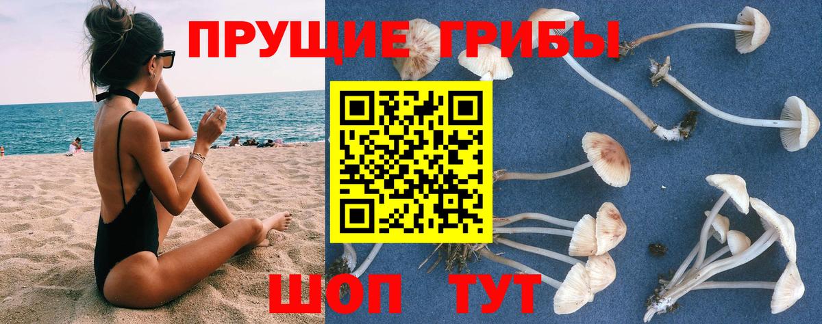Галлюциногенные грибы мухоморы  Вход с VPN  Красный Сулин 
